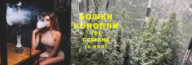 Бошки марихуана OG Kush  kraken ссылки  Ивантеевка 